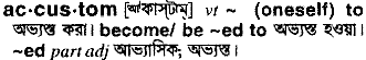 Accustom meaning in bengali