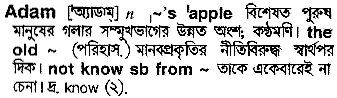 Adam meaning in bengali