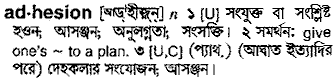 Adhesion meaning in bengali