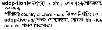 Adoption meaning in bengali