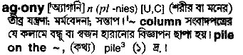 Agony meaning in bengali