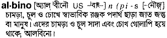 Albino meaning in bengali