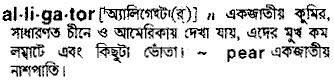 Alligator meaning in bengali