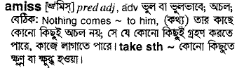 Amiss meaning in bengali