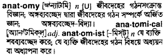 Anatomy meaning in bengali