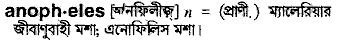 anopheles 
 meaning in bengali