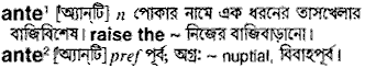 ante 
 meaning in bengali