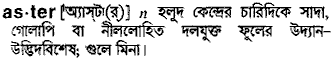 Aster meaning in bengali