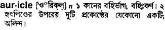 Auricle meaning in bengali