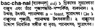 Bacchanal meaning in bengali