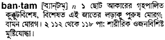 bantam 
 meaning in bengali