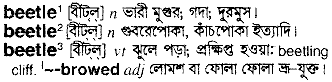 Beetle meaning in bengali