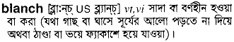 Blanch meaning in bengali