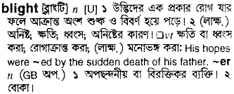 blight 
 meaning in bengali