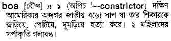 Boa meaning in bengali