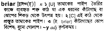 briar 
 meaning in bengali