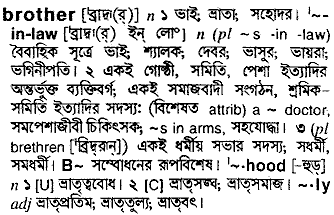 Brother meaning in bengali