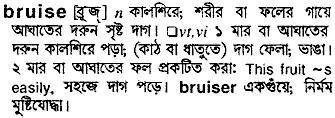 Bruise meaning in bengali