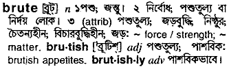 Brute meaning in bengali