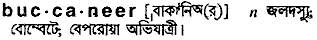 Buccaneer meaning in bengali