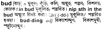 Bud meaning in bengali