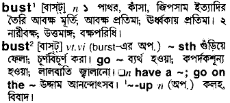 Bust meaning in bengali