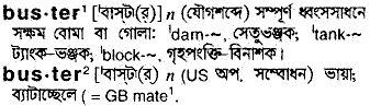 Buster meaning in bengali