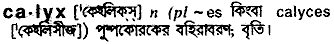 Calyx meaning in bengali