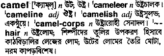 Camel meaning in bengali