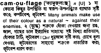 Camouflage meaning in bengali