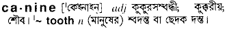 Canine meaning in bengali