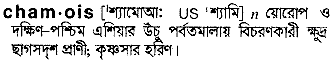 chamois 
 meaning in bengali