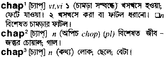 Chap meaning in bengali