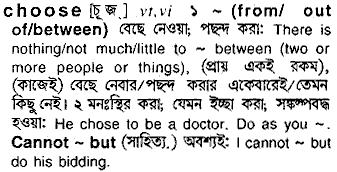 Choose meaning in bengali