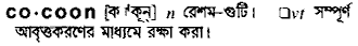 Cocoon meaning in bengali