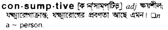 Consumptive meaning in bengali