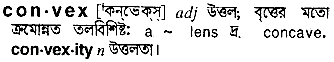 Convex meaning in bengali