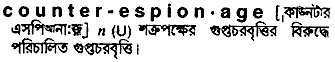 counter espionage 
 meaning in bengali