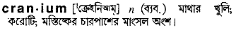 cranium 
 meaning in bengali