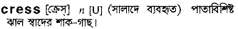 Cress meaning in bengali