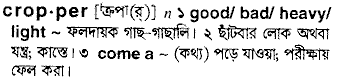 Cropper meaning in bengali