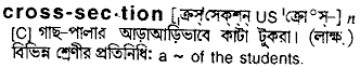 cross section 
 meaning in bengali