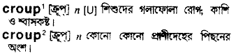 Croup meaning in bengali