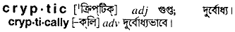 Cryptic meaning in bengali