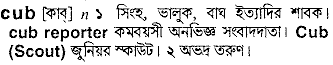 Cub meaning in bengali