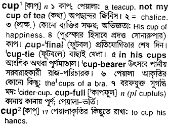 Cup meaning in bengali