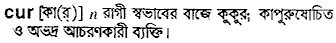 Cur meaning in bengali