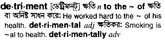 Detriment meaning in bengali