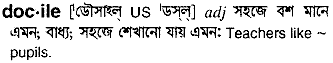 Docile meaning in bengali