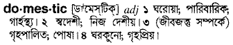 Domestic meaning in bengali